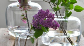 Zaproś wiosnę do domu ze szkłem Krosna